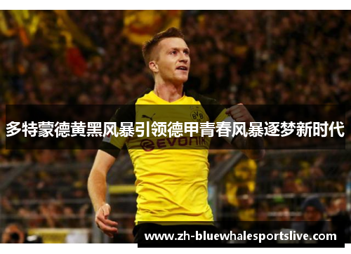 多特蒙德黄黑风暴引领德甲青春风暴逐梦新时代 多特蒙德黄黑风暴引领德甲青春风暴逐梦新时代