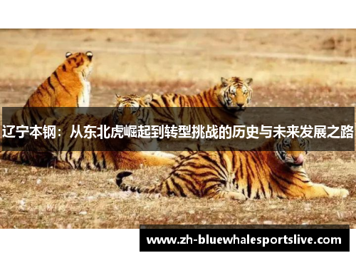 辽宁本钢:从东北虎崛起到转型挑战的历史与未来发展之路 辽宁本钢:从东北虎崛起到转型挑战的历史与未来发展之路