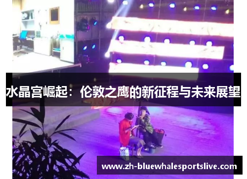 水晶宫崛起:伦敦之鹰的新征程与未来展望 水晶宫崛起:伦敦之鹰的新征程与未来展望