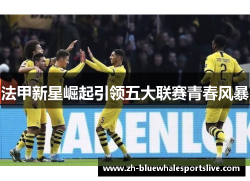 法甲新星崛起引领五大联赛青春风暴